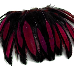 Laced Hen Feathers, 1 Dozen - Red BLW Whiting Laced Hen Cape Loose Feather Fly Tying Fishing Party Supply : 4885