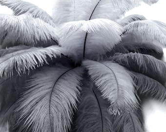 Ostrich Feathers, 10 Pieces - 6-8" Silver Gray Ostrich Dyed Drabs Body Plumage Feathers Craft Supplier : 1369