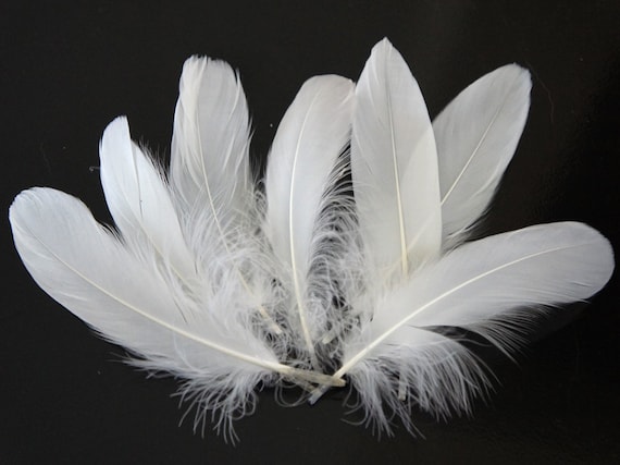 Bulk top goose feathers