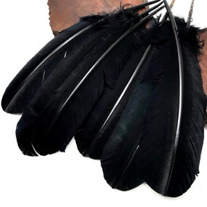 Imitation Eagle Feathers, 6 Pieces - Black Turkey Rounds Secondary Large Wing Quill Feathers Craft Supply : 2306