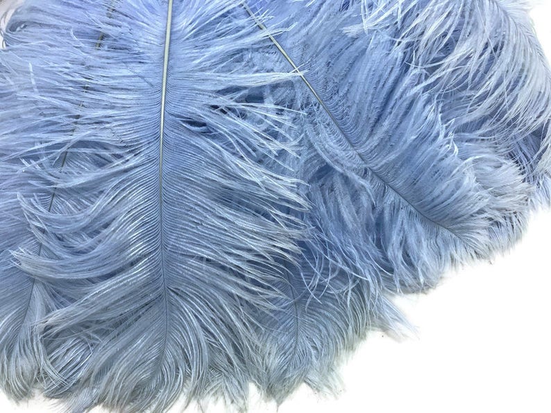 10 Plumes D'autruche Naturelles Teintes Bleu Sarcelle - 25-30cm Pour Déco DIY