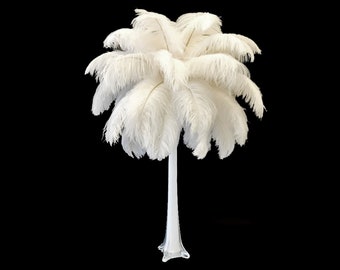 Ostrich Feathers, 10 Pieces - 8-10" Bleached Off White Ostrich Dyed Drabs Feathers Party Centerpiece Supplier : 239