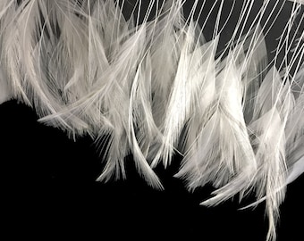 1 Dozen - White Stripped Rooster Neck Hackle Eyelash Feather Millinery Fly Tying Costume Supply : 352