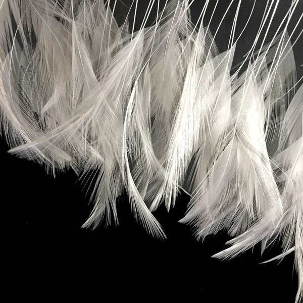 1 Dozen - White Stripped Rooster Neck Hackle Eyelash Feather Millinery Fly Tying Costume Supply : 352