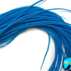 Extra Long Feathers, 6 Pieces - XL Solid TURQUOISE BLUE Thin Rooster Hair Extension Feathers : 438