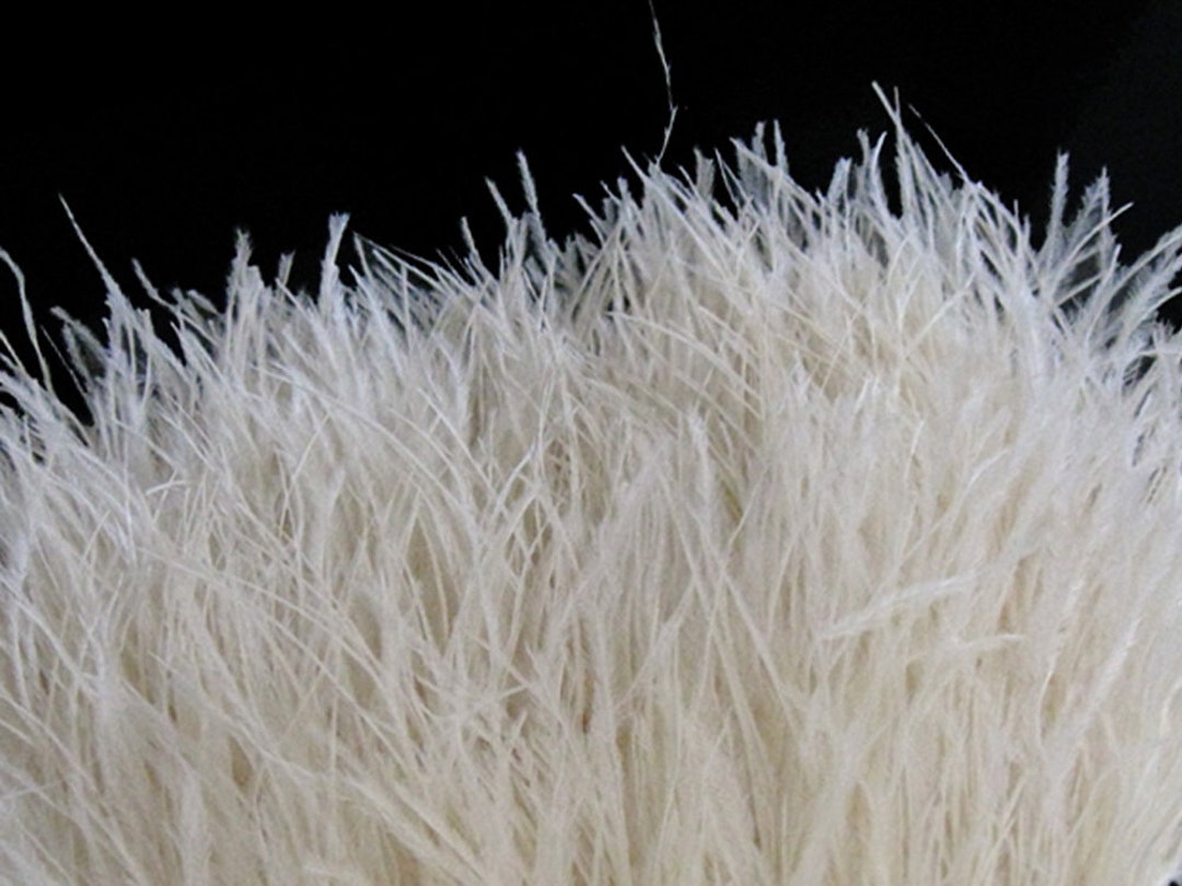 HAPPY FEATHER 2 Yards 5-6inch White Ostrich Feathers Trim Fringe for DIY  Dress Sewing Crafts Costumes Decoration in 2023