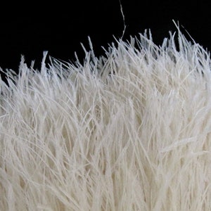 Feather Trim, 6 Inch Strip - Ivory Ostrich Fringe Trim Feather Craft DIY Supply Sample : 235