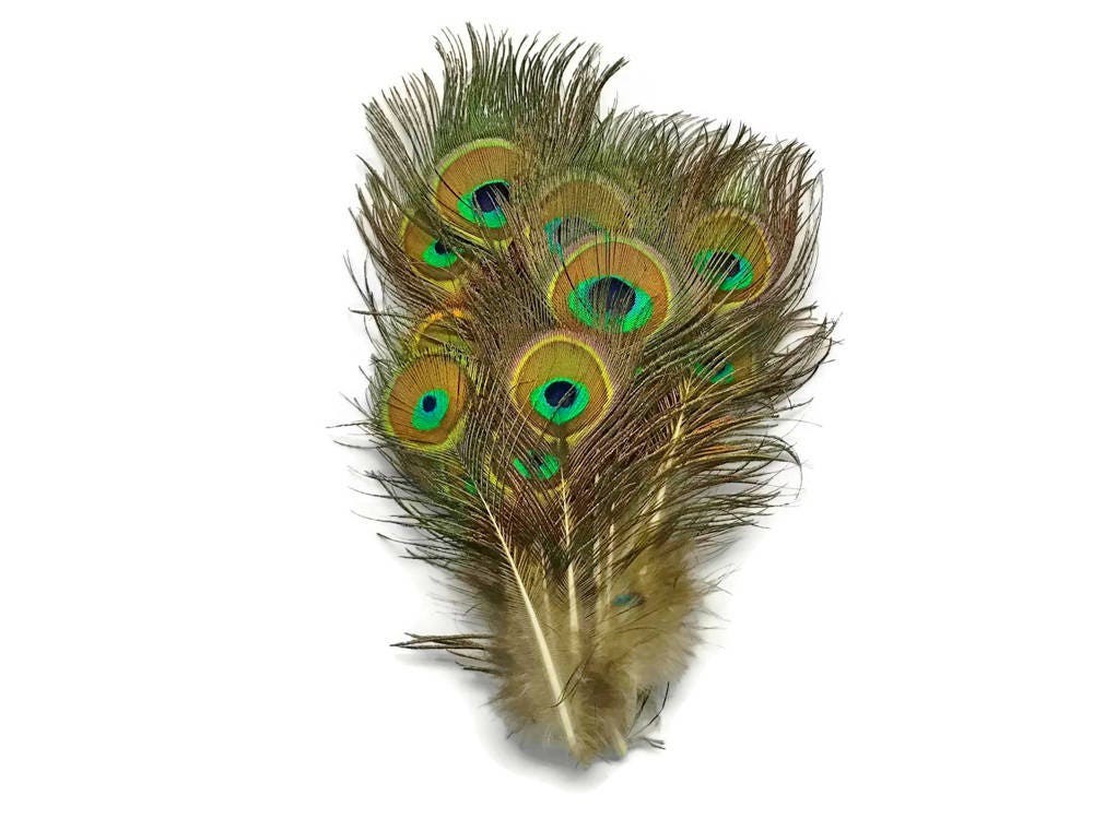  10pcs Long Natural Peacock Feathers 20-24 for Tall