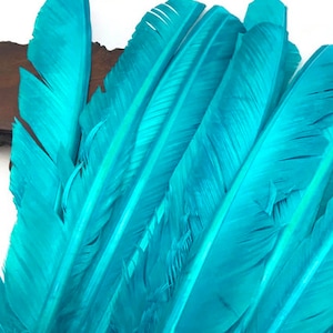 May include: A bunch of teal feathers, arranged in a fan shape, with the tips of the feathers pointing to the right.