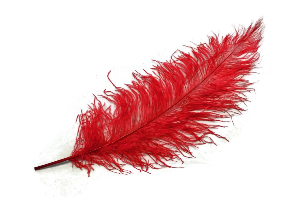 Ostrich Feathers, 10 Pieces 20-28 Red Ostrich Feather Spads Craft Wedding  Centerpiece Supply : 3686 