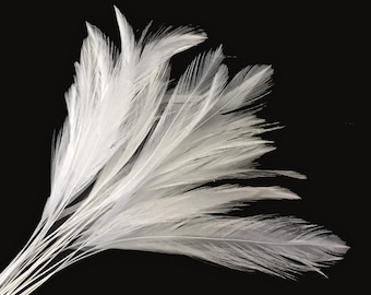 Stripped Feathers, 1 Dozen - WHITE Stripped Rooster Neck Hackle Feather : 352