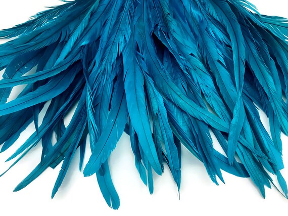 50 Piume Di Coda Di Gallo Tinte Naturali 30-35 Cm - Turchese - Per Cappelli, Costumi E Decorazioni