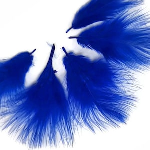 Puede incluir: Un grupo de seis plumas de color azul brillante. Las plumas son suaves y esponjosas, y están dispuestas en semicírculo.