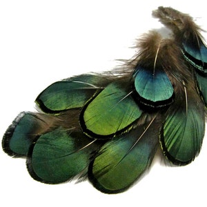 1 Pack Iridescent Green Bronze Lady Amherst Pheasant Plumage Tippet Feathers 0.10 Oz. Dream Catcher Fly Tying Supply : 492 image 5