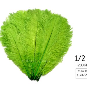 200 Feathers 9-13 Lime Green Ostrich Drab Body Plumage Wholesale Feathers Bulk Carnival Party Centerpiece : 2095-D image 2