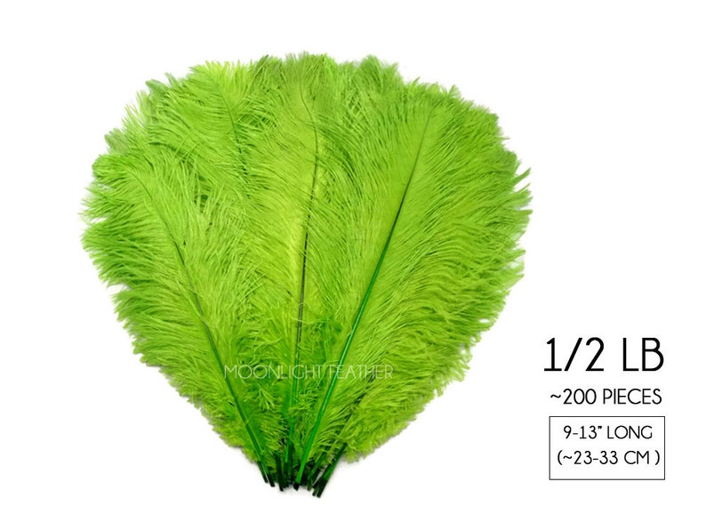 200 Feathers 9-13 Lime Green Ostrich Drab Body Plumage Wholesale Feathers Bulk Carnival Party Centerpiece : 2095-D image 2