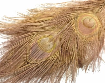 100 Pieces – Light Brown Bleached & Dyed Peacock Tail Eye Wholesale Feathers (Bulk) 10-12” Long Halloween Craft Supply : 1337