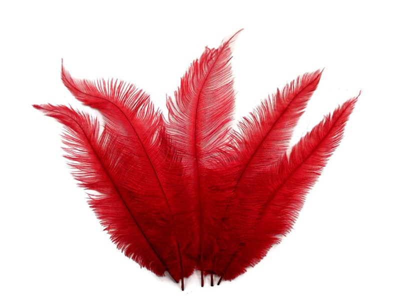 20 Pieces 12-18 Red Mini Ostrich Spads Chick Body Feathers Halloween Costume Centerpiece Ostrich Feathers 3350