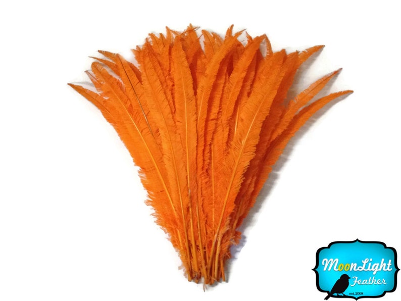 Plumas De Avestruz Naranja NUEVAS - 12 Piezas (docena), 22-24 Pulgadas, Decoración