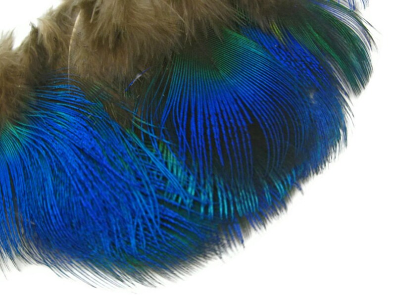 Small Peacock Feathers, 10 Pieces Iridescent Blue Peacock Body Plumage feathers Craft Supply : 2467 image 3