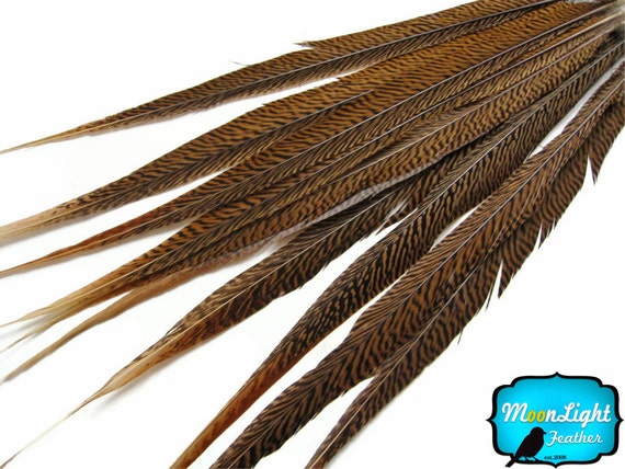  Moonlight Feather  50 Pieces - Turkey Feathers