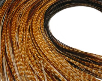 50 Pieces - Unique Ginger Thin Long Whiting Farms Rooster Saddle Hair Extension Wholesale Feathers (Bulk) Fly Tying Craft Supply : 2320