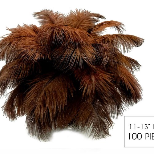 Wholesale Wedding Feathers, shops 100 Pieces - 11-13