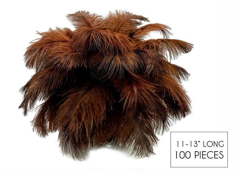 Wholesale Wedding Feathers, shops 100 Pieces - 11-13