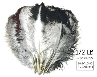 Huge Wedding Feathers, 1/2 Lb. - 18-24" Natural Chinchilla Large Ostrich Wing Plume Wholesale Feathers (Bulk) : 3761