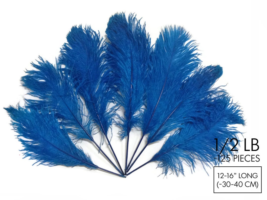 Ostrich Plumes, 1/2 Lb 1216 Turquoise Blue Ostrich Tail Wholesale