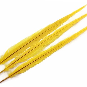 May include: Three long, yellow feathers with a slightly darker yellow stripe down the center of each feather.