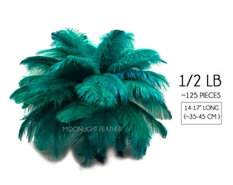 1/2 lb. - 14-17" Teal Green Ostrich Large Body Drab Wholesale Feathers (Bulk) Wedding Party Wall Centerpiece : 4482