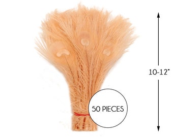 50 Pieces – Peach Pink Bleached & Dyed Peacock Tail Eye Wholesale Feathers (Bulk) 10-12” Long Halloween Craft Supply : 1309