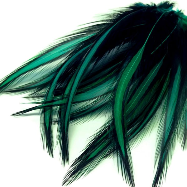 Plumas con encaje, 10 piezas - Plumas de gallo largas con encaje, teñidas en verde pavo real, BLW, Whiting Farms: 3194