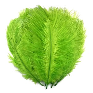 200 Feathers 9-13 Lime Green Ostrich Drab Body Plumage Wholesale Feathers Bulk Carnival Party Centerpiece : 2095-D image 5