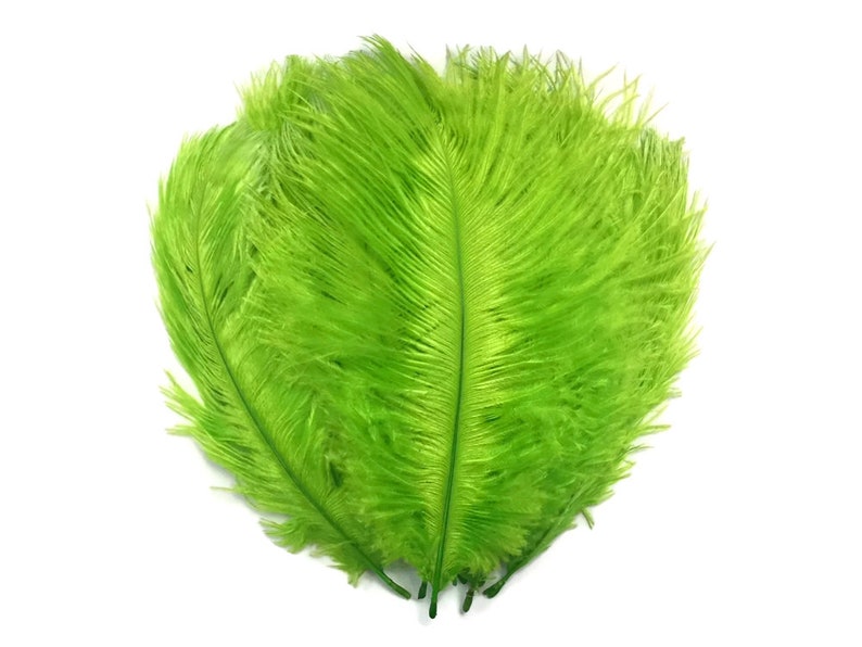 200 Feathers 9-13 Lime Green Ostrich Drab Body Plumage Wholesale Feathers Bulk Carnival Party Centerpiece : 2095-D image 5