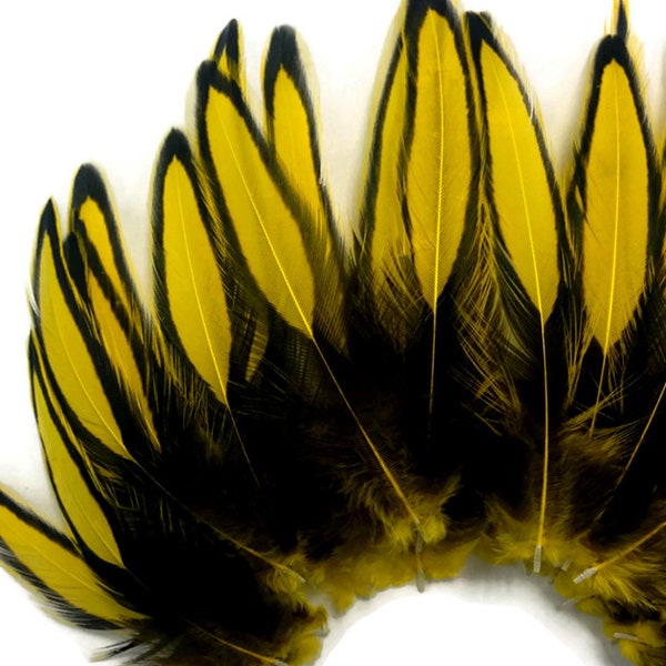 Love Laced Hen Feathers, 1 Dozen - Yellow BLW Whiting Laced Hen Cape Loose Feather Fly Tying Fishing Party Supply : 3434