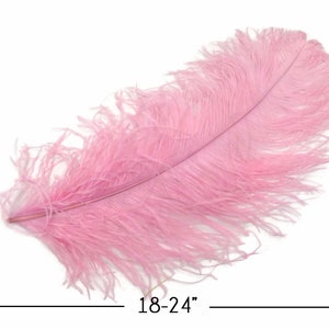 Huge Wedding Feathers 1/2 Lb. 18-24 Baby Pink Large - Etsy