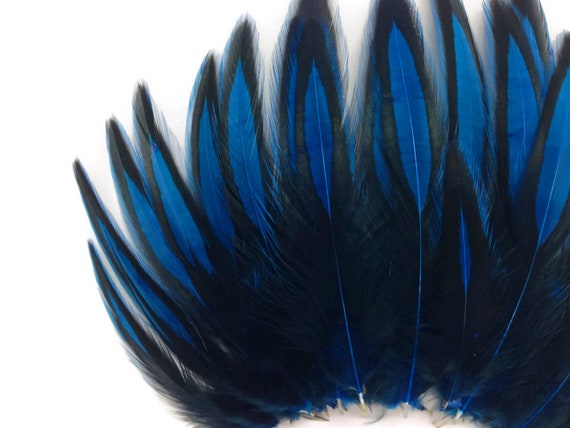 fly tying BLW Kingfisher Bleu Whiting American Hen Cape