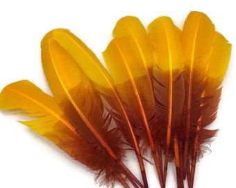 Eagle Feathers, 6 Pieces - Gryffindor Brown & Gold Two Tone Turkey Round Tom Wing Quill Feathers : 4568