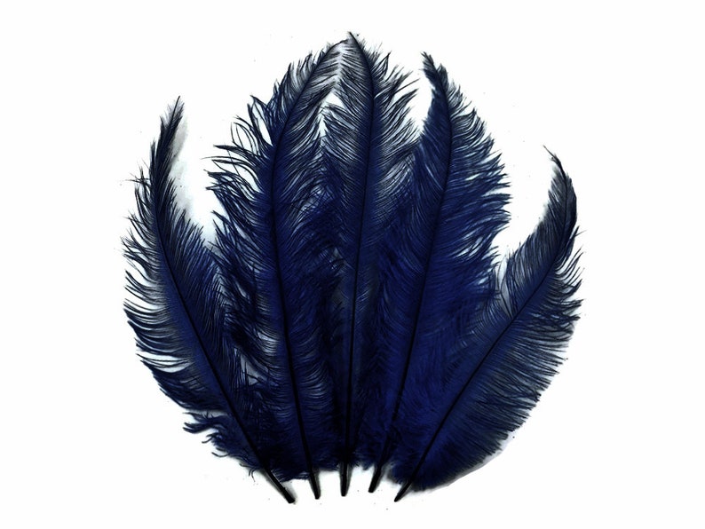 Ostrich Feathers, 20 Pieces 12-18 Navy Blue Mini Ostrich Spads Chick Body Feathers Halloween Costume Centerpieces : 3389 image 7