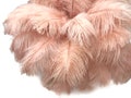 Ostrich Feathers, 10 Pieces - 14-17" Champagne Ostrich Dyed Drab Large Body Feathers Centerpiece Carnival Supplier : 5031