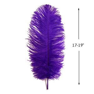 May include: A single, vibrant purple feather against a white background. The feather is approximately 17-19 inches long, with a soft, fluffy texture. The image shows the full length of the feather, highlighting its rich color and delicate structure.