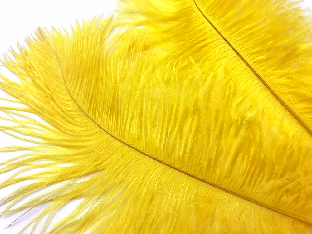 Ostrich Feathers 18 to 20''. Pack of 6 Feathers (Yellow) Ship from New York