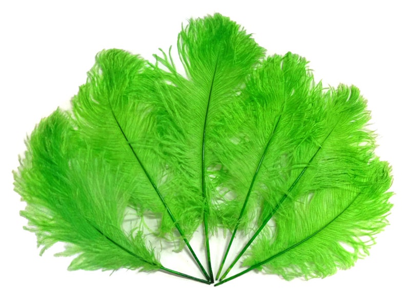 3498 10 Pieces Ostrich Feathers 12-16 Lime Green Dyed Ostrich Tail Fancy Feathers Centerpiece Craft Supplier
