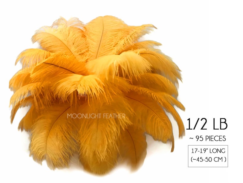 Mardi Gras Wedding Supplier 12 lb : 2052 17-19 Golden Yellow Large Ostrich Drab Plumage Wholesale Feathers Wholesale Feathers bulk