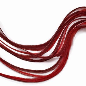 Red Hair Feathers, 6 Pieces - XL Solid Red Thick Extra Long Rooster Hair Extension Feathers : 673