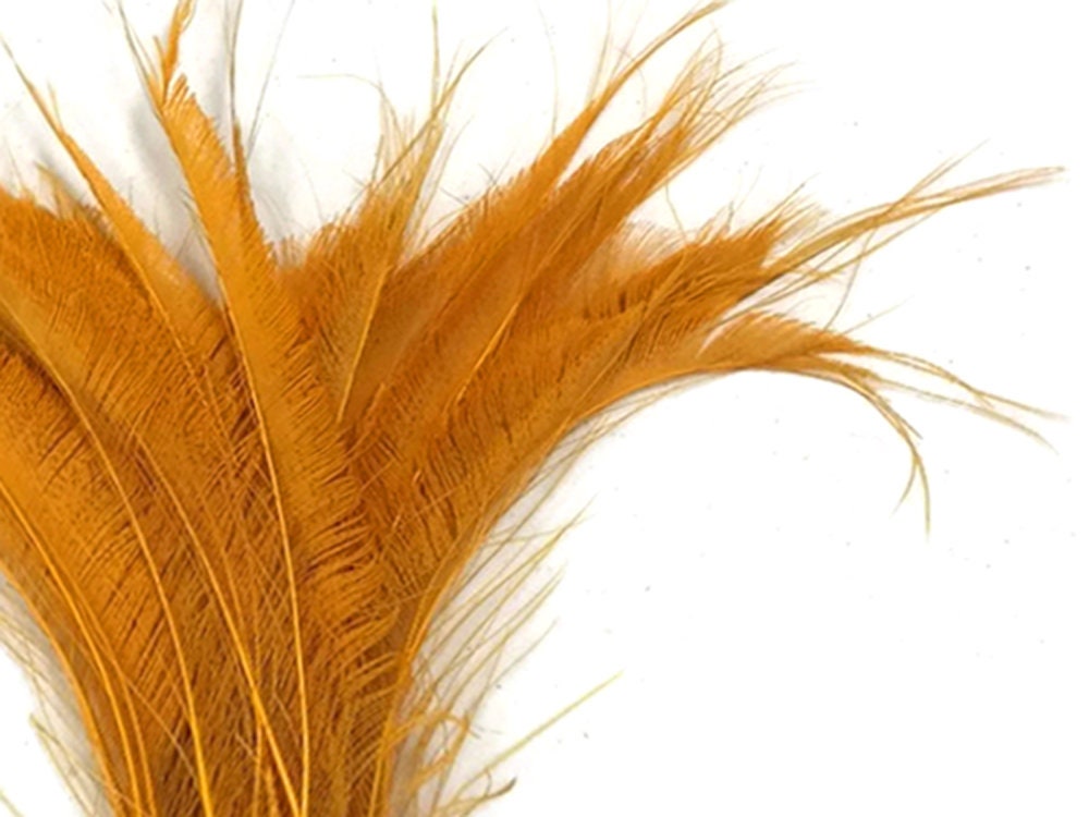 Rare Long Peacock Feathers, 5 Pieces - Golden Yellow Bleached & Dyed Peacock Swords Cut Feathers : 3901