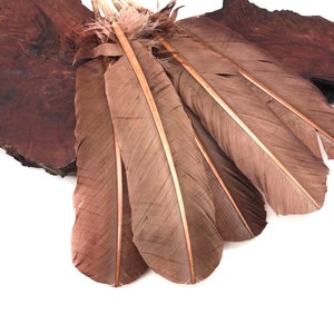 6 Pieces - Light Brown Turkey Rounds Secondary Large Wing Quill Feathers Craft Supply : 4185