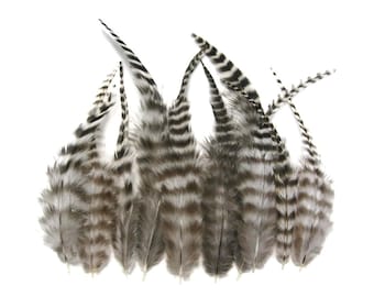 Rooster Feathers - 1 Dozen - SHORT NATURAL Grizzly Rooster Hair Extension Feathers : 313